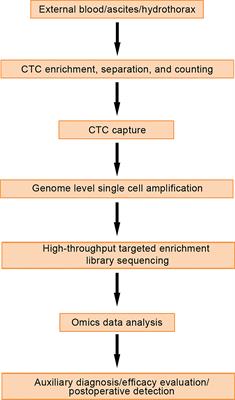 The Role of Liquid Biopsy Analytes in Diagnosis, Treatment and Prognosis of Colorectal Cancer